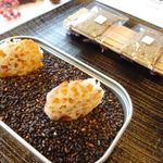 MAISON LAFITE - オニオングラタンときんぴらごぼう・・フフ。一目見ただけでは何か解りませんよね、楽しい。 
      