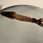 広東料理 センス - 