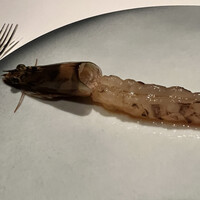 広東料理 センス - 