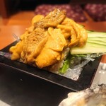 旬彩旬魚 悠旗 - 料理写真:生ウニの盛りが凄い