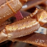 富小路 やま岸 - 