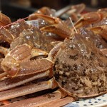 富小路 やま岸 - 