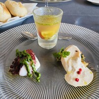 鉄板焼き 銀座 ポルトファーロ 本店 - 鶏むね肉ツナとマヨネーズのソース、タコのジェノベーゼソース、トラフグのゼリー。