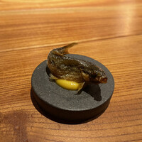 マキノンチ - 