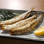 北海道鮮魚と炭火炉端焼 ふれあ - 本ししゃも