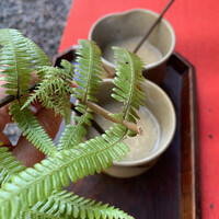 平野屋 -  平野屋 -