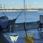 International cuisine subzero - 