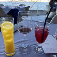 International cuisine subzero - 