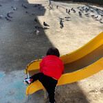 拉麺大公 - 食後に近所の公園で遊ぶ我が子