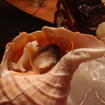 鎌倉山 - つぶ貝刺身