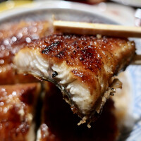 炭焼 うな富士 有楽町店 - うなぎ丼（4300円）＋ご飯大盛（100円）