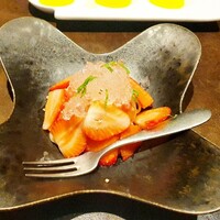 オッジ ダルマット 西麻布店 - 