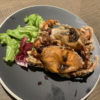 COLONIAL BEACH 横浜ハンマーヘッド - 