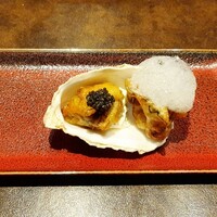 オッジ ダルマット 西麻布店 - 