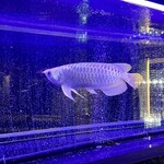 焼肉 拍手喝采 - 