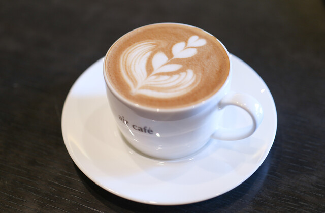 air cafe centralgarden photo 2