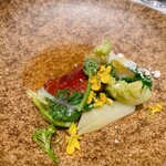 アルカナイズ - 