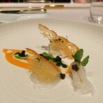 アルカナイズ - 