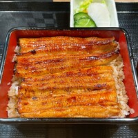 うなぎ 目白ぞろ芽 - 