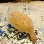 梅乃寿司 - ほたんえび