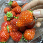 姫路ハートフル観光農園 - 