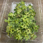 姫路ハートフル観光農園 - 