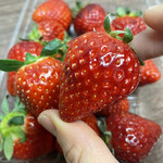 姫路ハートフル観光農園 - 