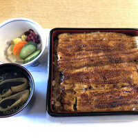 鰻割烹 伊豆栄 本店 - 「うな重(梅)」¥5500