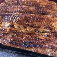 鰻割烹 伊豆栄 本店 - 「うな重(梅)」¥5500