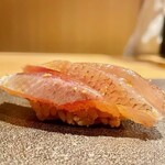 はっこく - 2021.11.  春子鯛