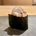 はっこく - 2021.11.  白子