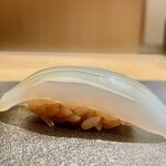 はっこく - 2021.11.  墨烏賊