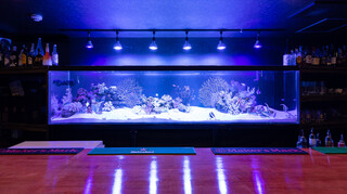 Aquarium bar OCEANS - 内観カウンター席