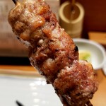 炭火焼鳥専門店 関内 "鶏炎" - 