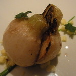 レフェルヴェソンス - 