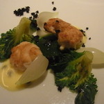 レフェルヴェソンス - 