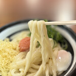 香の川製麺 - うどんのアップ