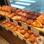 セテュヌ ボンニデー - 