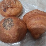 セテュヌ ボンニデー - 