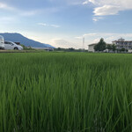 大和 - この写真のどこかに、なにくろがいます( ・∇・)