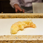 日本橋 蕎ノ字 - ☆車海老（鹿児島産）。一つ目のレアの海老は塩で頂く。火入れ加減はいつも絶妙。