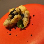 プレゼンテ スギ - 森の地面