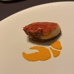 プレゼンテ スギ - 漁師さんからの贈り物