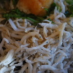 高園茶屋 - こんにちは、ちりめんちゃん