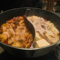 CINA New Modern Chinese - 