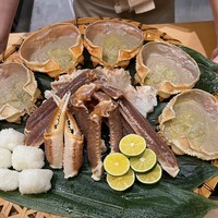高台寺 十牛庵 - 