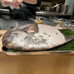 銀座 大石 - でで～ん！本日のお食材陳列始まり始まり～マナガツオくんから！まるっとしてかわいい♡