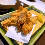 しゃぶしゃぶ･鋤焼･虎河豚 的山 - 