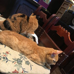 ル・プリーベ - 