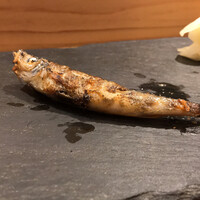 SUSHI TOKYO TEN、 新宿店 - 